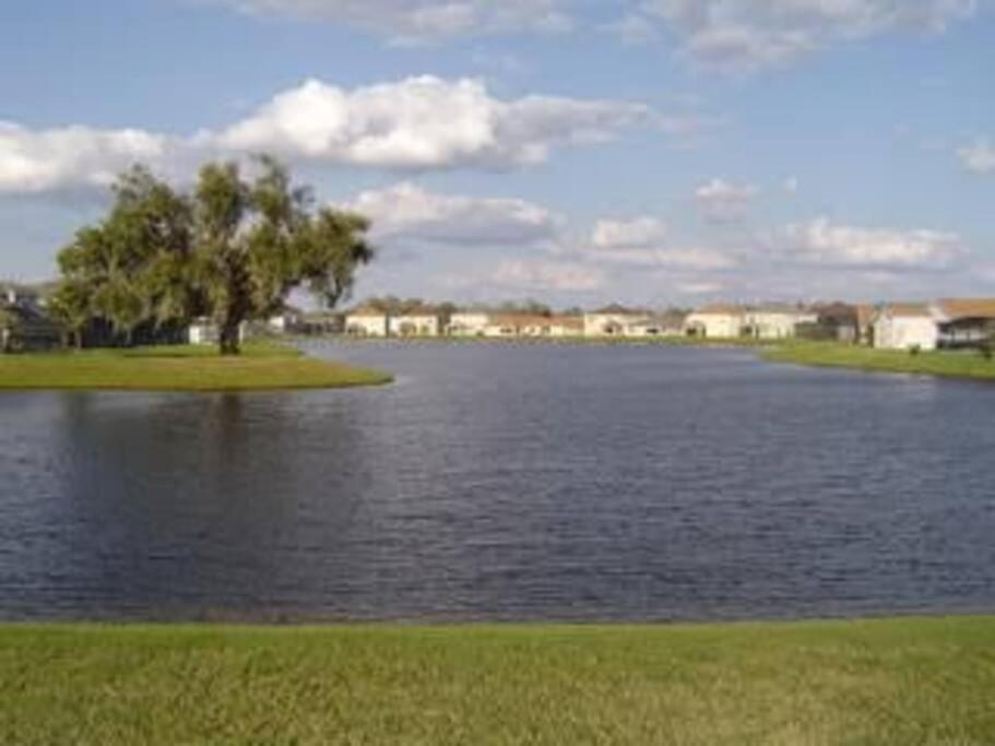 Gone 2 Florida Vacation Homes Four Corners Camera foto